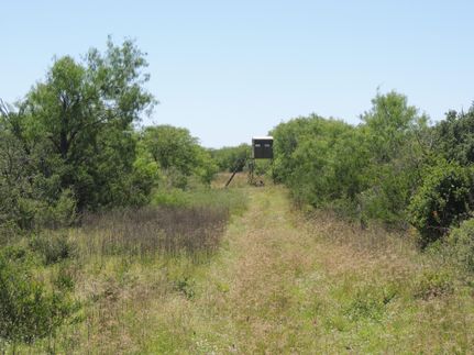 Land in Duval County, Texas