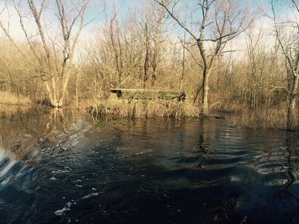 Timberland Property in Lonoke County, Arkansas