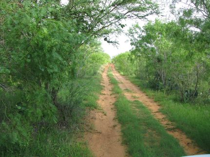 Farm and Ranch in Wilson County, Texas