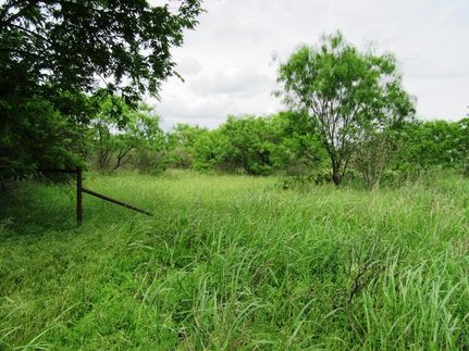 Undeveloped Land in Llano County, Texas