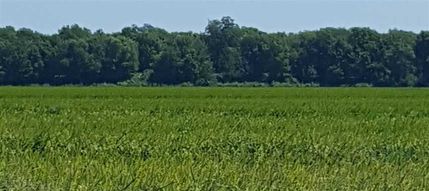 Land in Chicot County, Arkansas