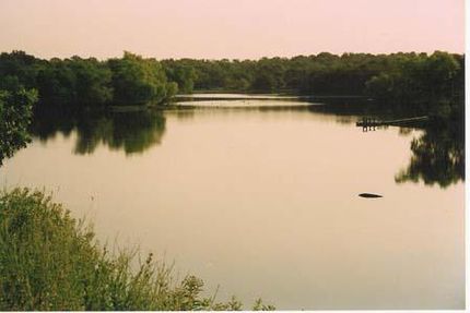 Farm and Ranch in Parker County, Texas