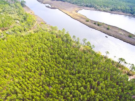 Timberland Property in Bay County, Florida