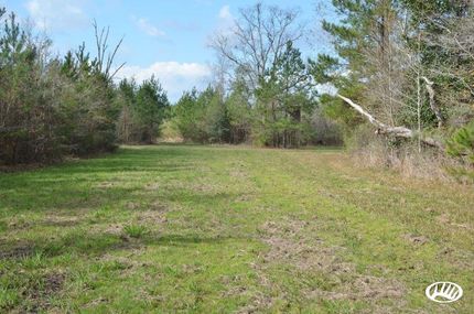 Farm and Ranch in Tangipahoa Parish, Louisiana