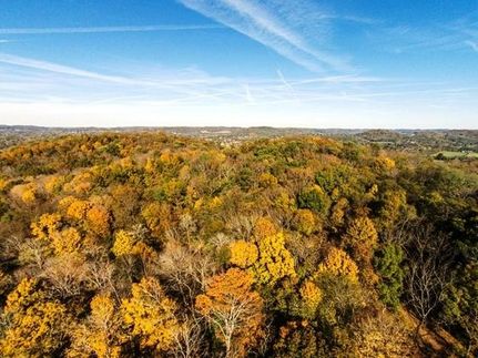 Farm and Ranch in Williamson County, Tennessee