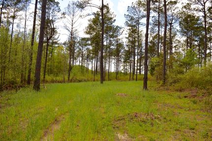 Hunting Property in Tallapoosa County, Alabama