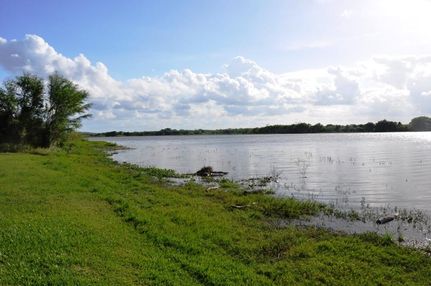 Farm and Ranch in Live Oak County, Texas