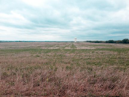 Farm and Ranch in Wichita County, Texas