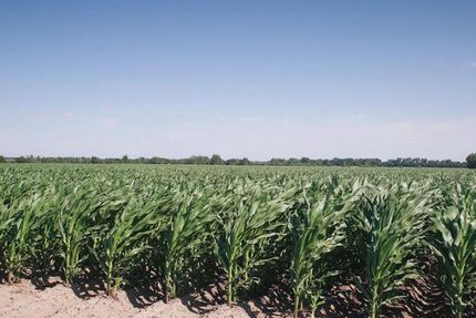 Land in Merrick County, Nebraska