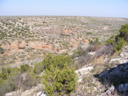 Timberland Property in Stonewall County, Texas