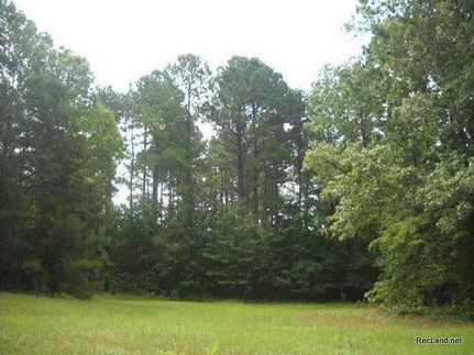 Farm and Ranch in Webster Parish, Louisiana