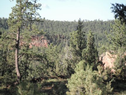 Farm and Ranch in Custer County, South Dakota