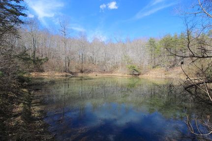 Timberland Property in Vinton County, Ohio