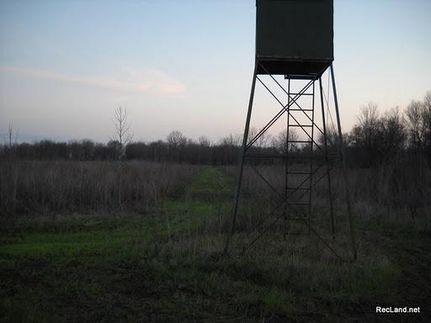 Farm and Ranch in Madison Parish, Louisiana