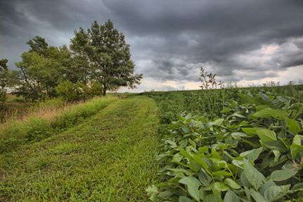 Recreational Property in Monroe County, Missouri
