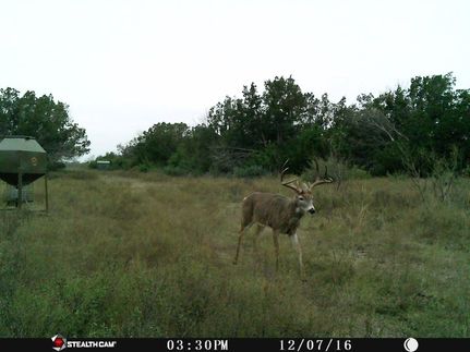 Hunting Property in Lampasas County, Texas