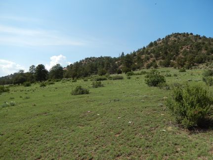 Farm and Ranch in Teller County, Colorado