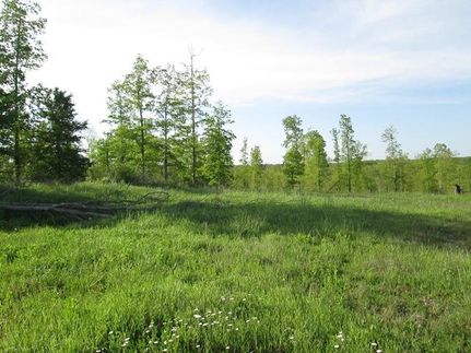 Land in Williamson County, Tennessee