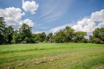 Undeveloped Land in Navarro County, Texas