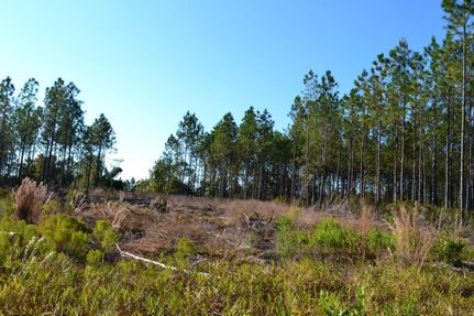 Land in Levy County, Florida