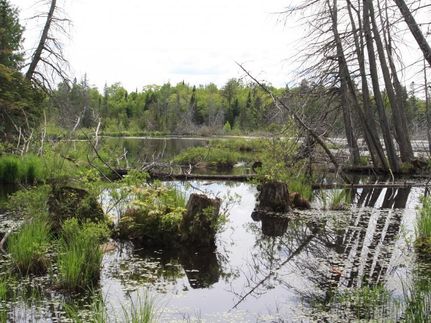 Land in Luce County, Michigan