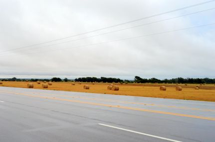 Farm and Ranch in Lee County, Texas
