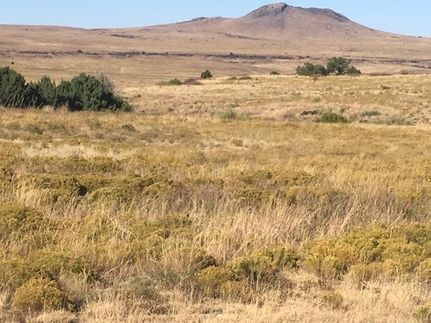 House in Union County, New Mexico