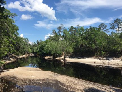 Farm and Ranch in Hamilton County, Florida