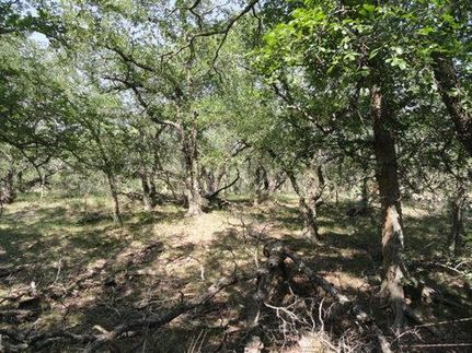 Farm and Ranch in Coleman County, Texas