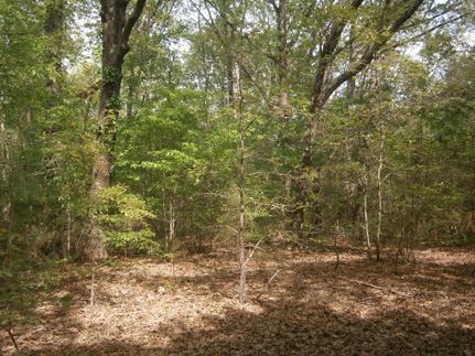 Undeveloped Land in Lee County, Mississippi