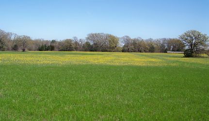 Land in Henderson County, Texas