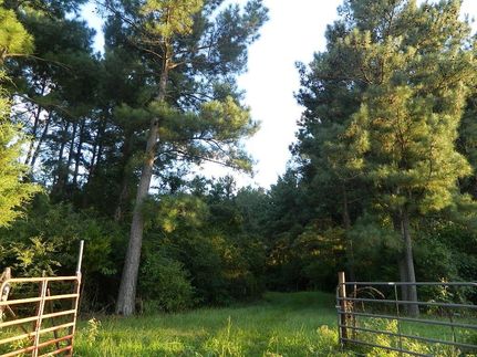 Land in Bowie County, Texas