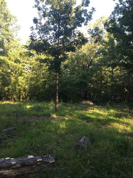 Hunting Property in Red River County, Texas