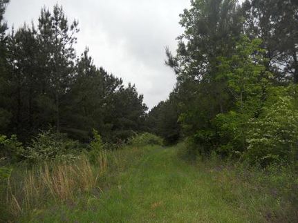 Commercial Property in East Feliciana Parish, Louisiana