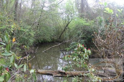 Timberland Property in Simpson County, Mississippi