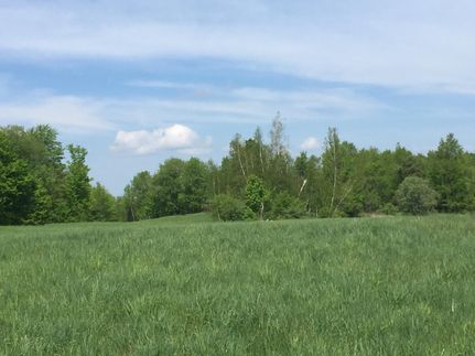 Farm and Ranch in Lewis County, New York