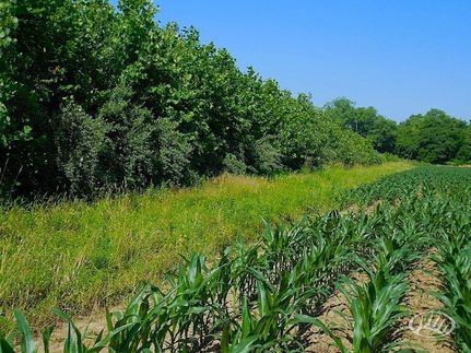 Farm and Ranch in Putnam County, Indiana