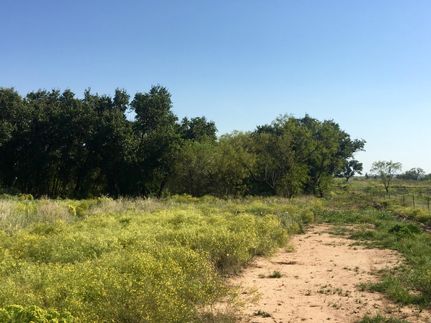 Land in Callahan County, Texas