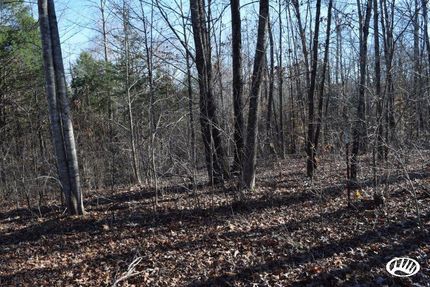 Horse Property in Carroll County, Tennessee