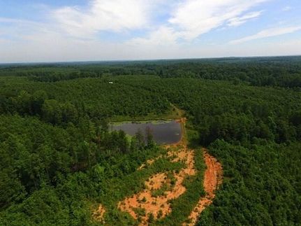 Timberland Property in Buckingham County, Virginia