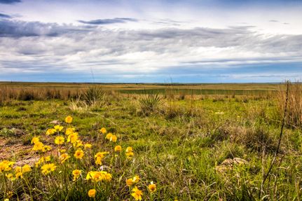Recreational Property in Wheeler County, Texas