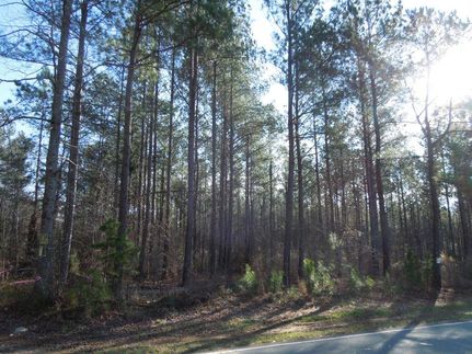 Farm and Ranch in Chatham County, North Carolina