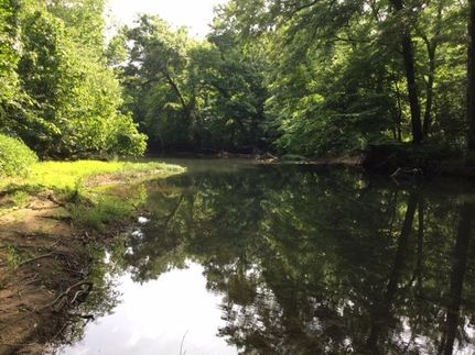 Farm and Ranch in Lawrence County, Alabama