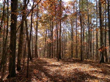 Farm and Ranch in Clay County, Alabama