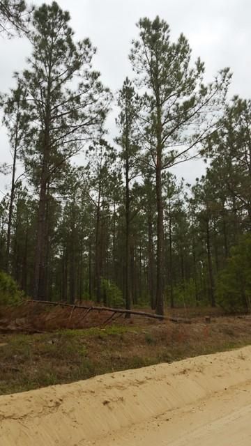 Farm and Ranch in Aiken County, South Carolina