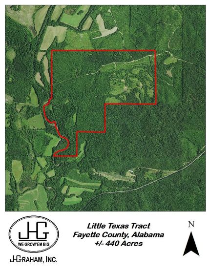 Undeveloped Land in Fayette County, Alabama