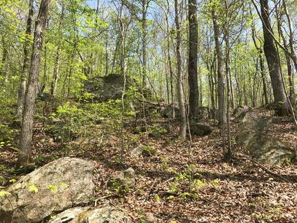 Recreational Property in Tallapoosa County, Alabama