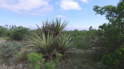 Farm and Ranch in Concho County, Texas