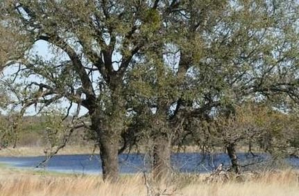 Farm and Ranch in Comanche County, Texas