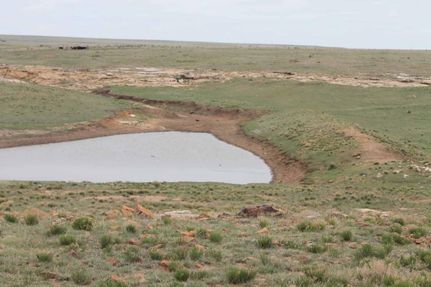 House in Union County, New Mexico